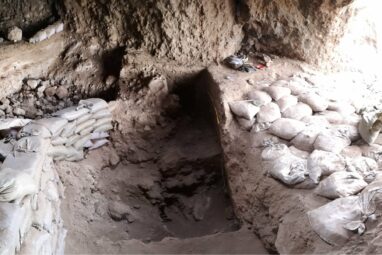 Discovery of wild cereal foraging far from Fertile Crescent ...