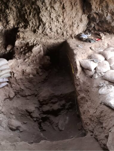 Discovery of wild cereal foraging far from Fertile Crescent ...