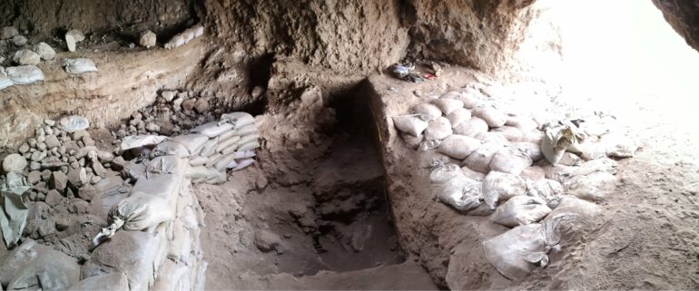 Discovery of wild cereal foraging far from Fertile Crescent ...