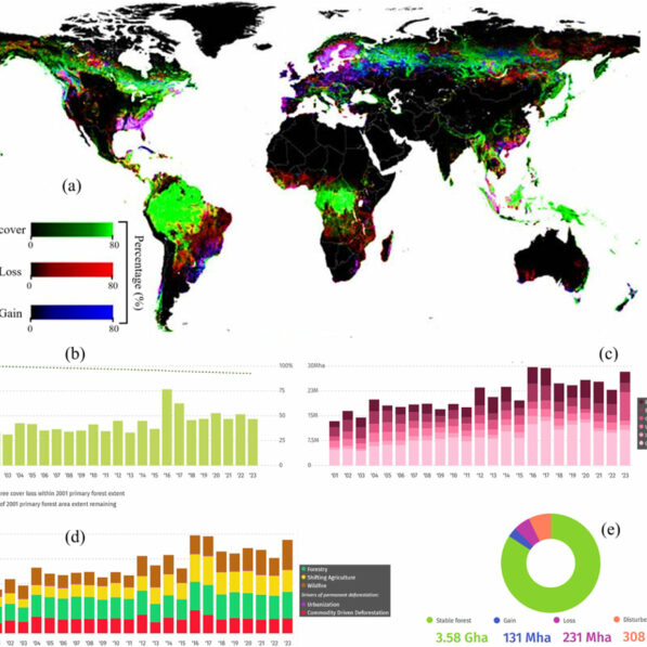 Global forests store vast carbon wealth but credit systems ...