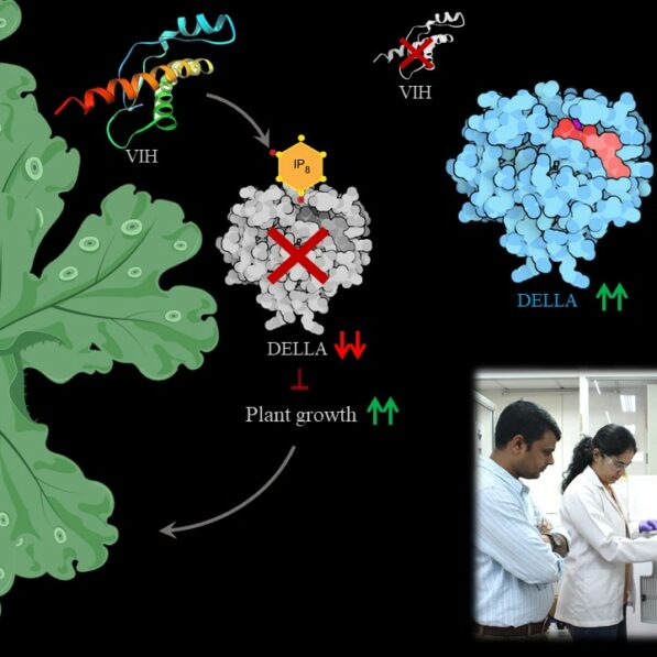 Indian Institute of Science