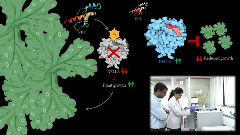 Indian Institute of Science