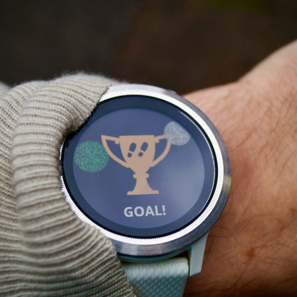 Walking further and faster linked to reduced risk of ...