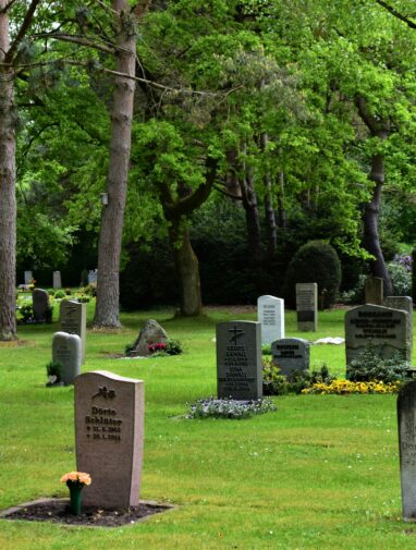 What defines a life well-lived? Obituaries may have the answers