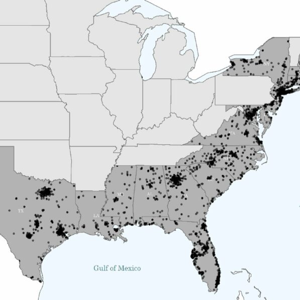 Wind isn't the only threat: Scientists urge shift to more informed ...