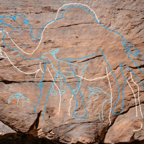 12,000-year-old monumental camel rock art acted as ancient 'road ...