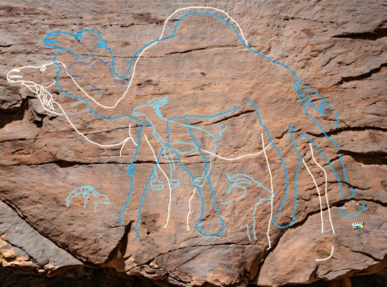 12,000-year-old monumental camel rock art acted as ancient 'road ...