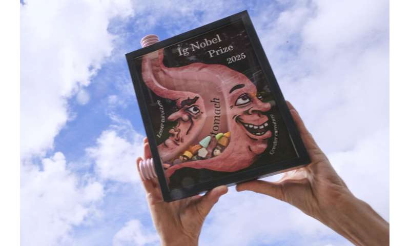 Does painting cows with stripes prevent fly bites? Researchers who studied this wins Ig Nobel prize