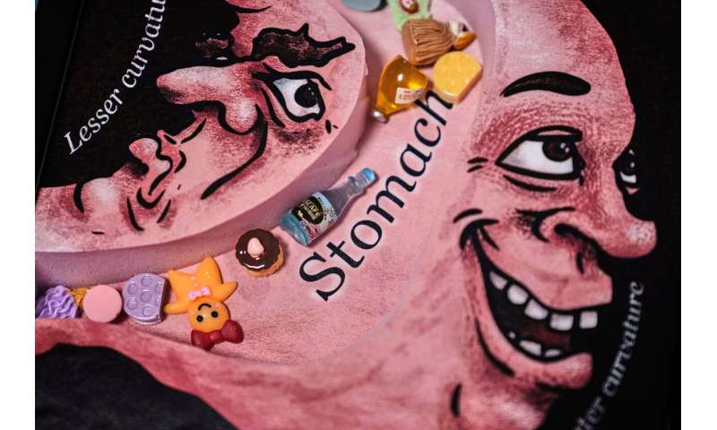 Does painting cows with stripes prevent fly bites? Researchers who studied this wins Ig Nobel prize