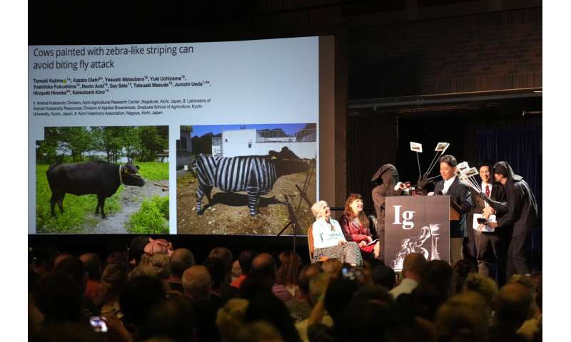 Does painting cows with stripes prevent fly bites? Researchers who studied this wins Ig Nobel prize