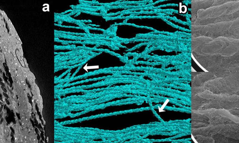 Ancient fishing nets resurrected from pottery using X-ray CT: a world-first achievement by Kumamoto University researchers