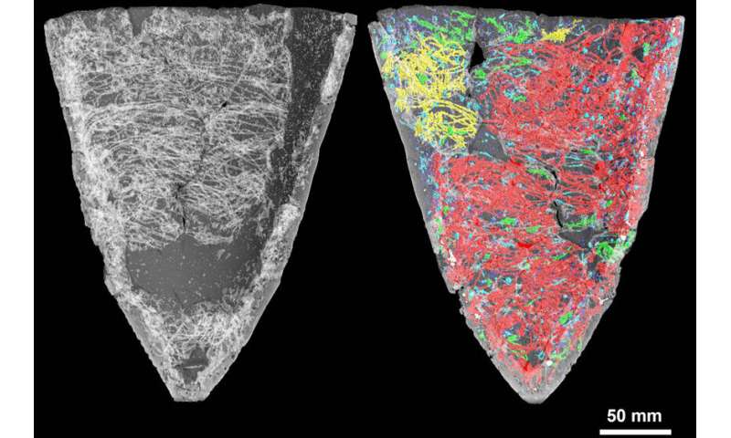 Ancient fishing nets resurrected from pottery using X-ray CT: a world-first achievement by Kumamoto University researchers