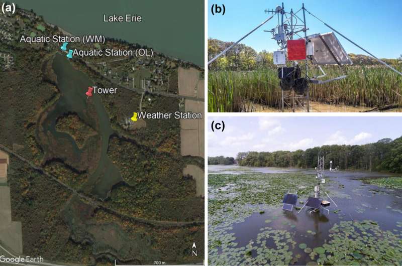 Research explores flooding impact on freshwater coastlines