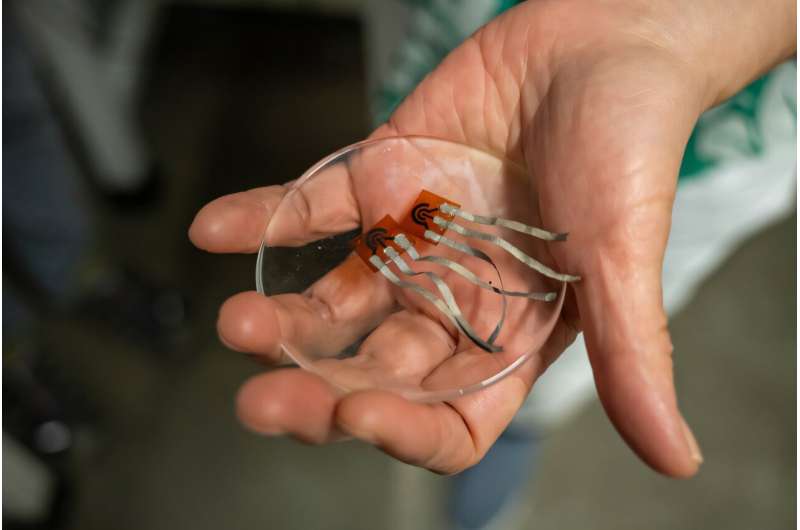 Mizzou at the forefront of using hydrogen energy safely