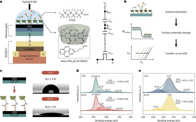 Tiny sensors rapidly detect 'forever chemicals' in water