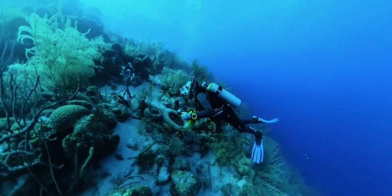 What noise does a fish make? New underwater tool lets ecologists ID fish from their sounds