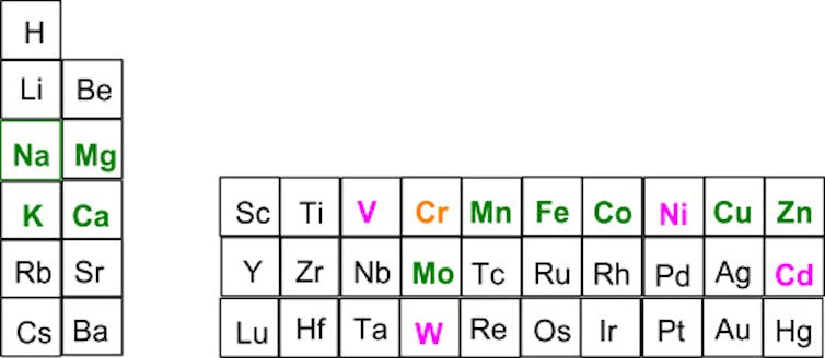Diagram of select columns and rows of the periodic table