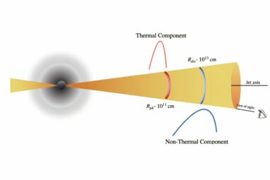 A tale of two pulses: Observational evidence for two distinct ...