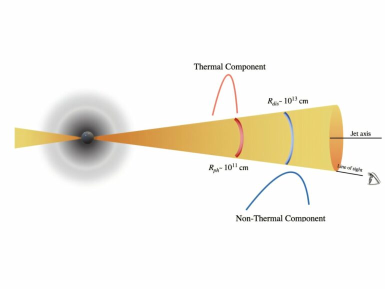 A tale of two pulses: Observational evidence for two distinct ...