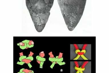 Ancient fishing nets resurrected from pottery using X-ray CT