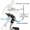 Artificial intelligence enables exoskeletons to assist users more ...