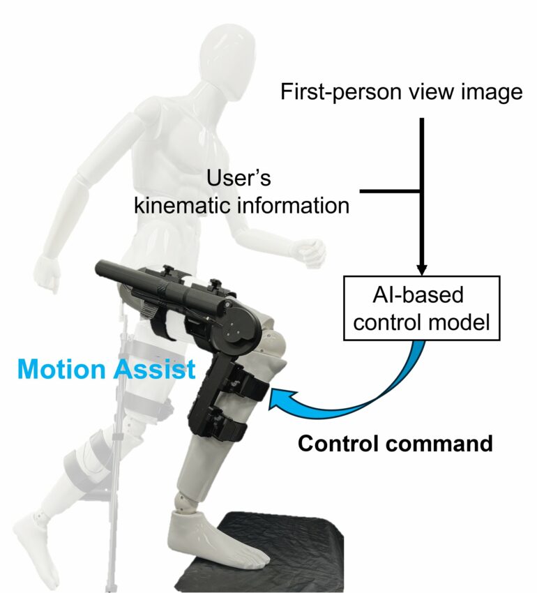 Artificial intelligence enables exoskeletons to assist users more ...