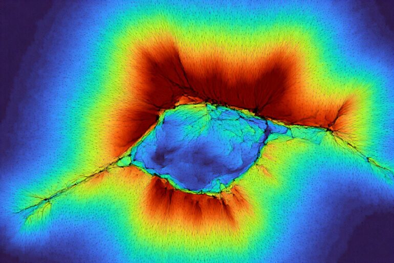 By working together, cells can extend their senses beyond their ...