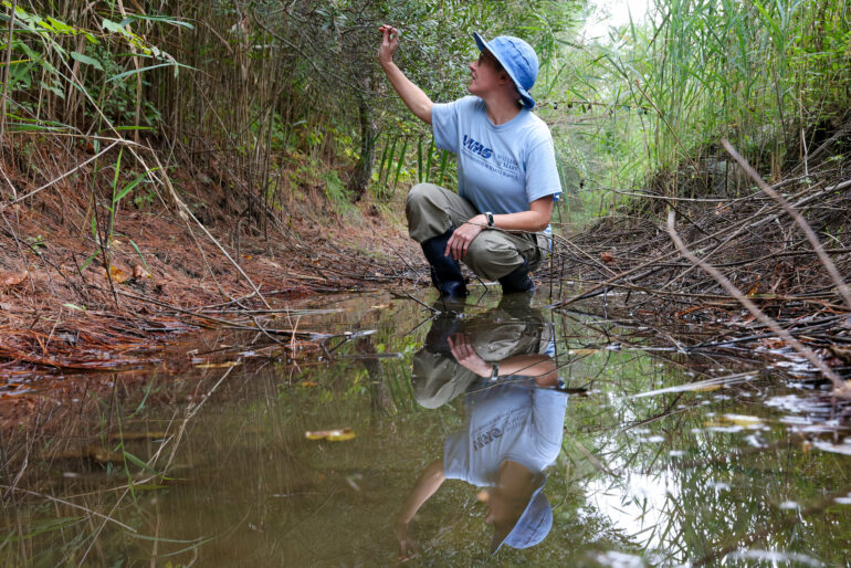 Ditches as waterways: Managing 'ditch-scapes' to strengthen ...