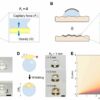 Drop-printing' shows potential for constructing bioelectronic ...