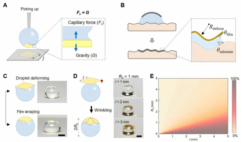 Drop-printing' shows potential for constructing bioelectronic ...