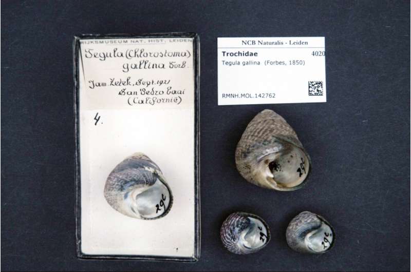 How can DNA help monitor how species are responding to ocean warming?