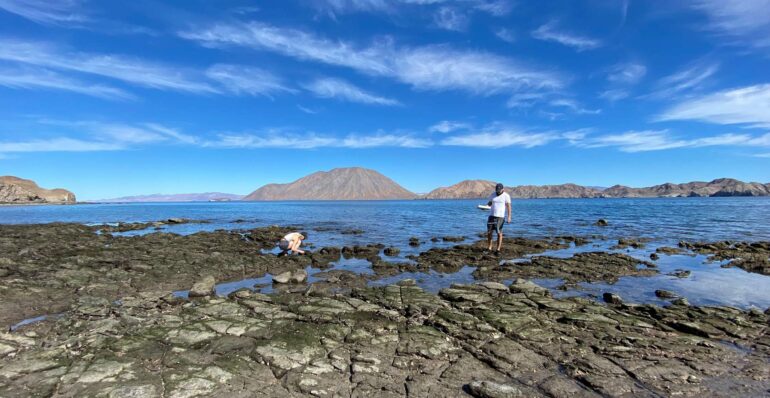 eDNA alone may mislead tracking of marine species' shifting ranges ...