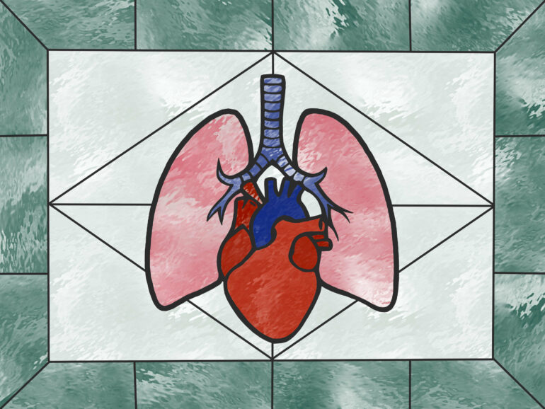 Glass-like state leads to advancements in cryopreservation