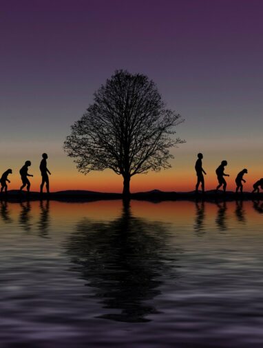 Hobbits of Flores evolved to be small by slowing down growth ...