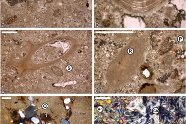 How the Red Sea went completely dry before being flooded by the ...