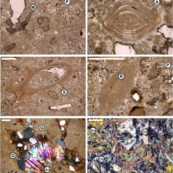 How the Red Sea went completely dry before being flooded by the ...