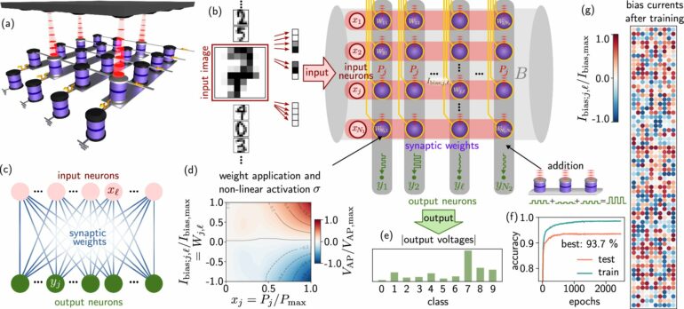 Magnetic tunnel junctions mimic synapse behavior for energy ...