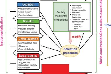Frontiers | Psychedelics, Sociality, and Human Evolution