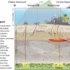 Novel hydrothermal system links two seabed phenomena