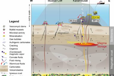 Novel hydrothermal system links two seabed phenomena