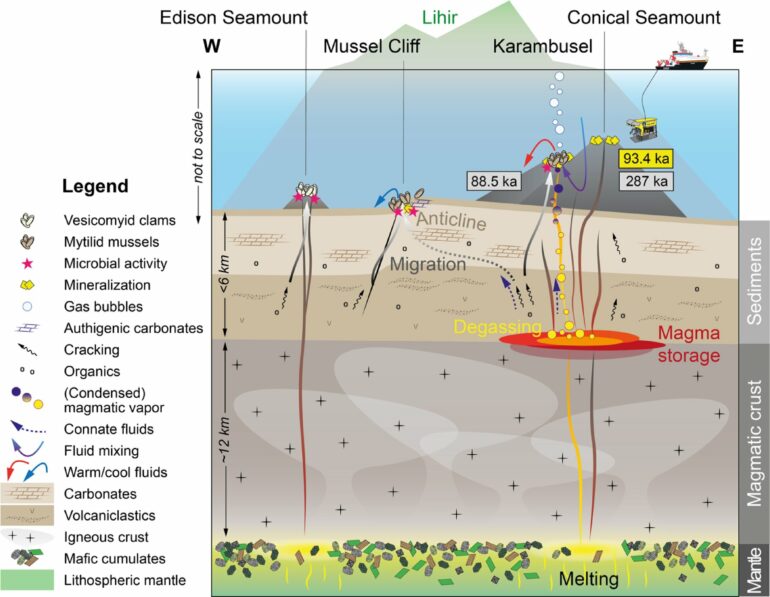 Novel hydrothermal system links two seabed phenomena
