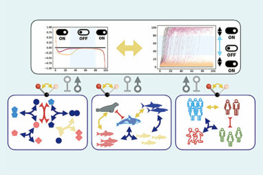 Switching it up: The secret survival strategy to life as revealed ...