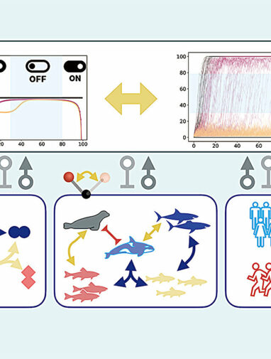 Switching it up: The secret survival strategy to life as revealed ...