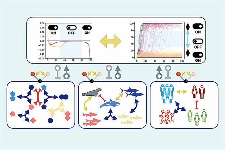 Switching it up: The secret survival strategy to life as revealed ...