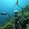 What noise does a fish make? New underwater tool lets ecologists ...