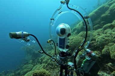 What noise does a fish make? New underwater tool lets ecologists ...