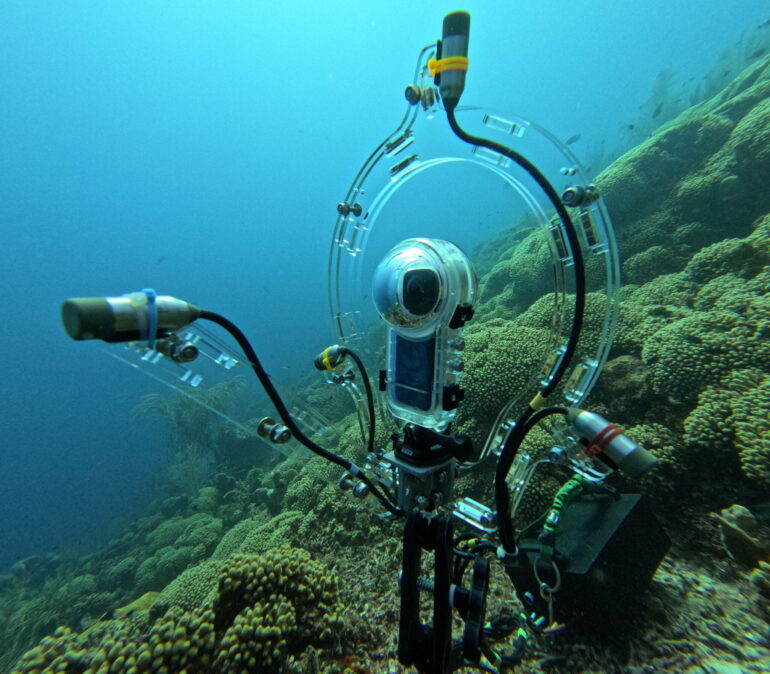 What noise does a fish make? New underwater tool lets ecologists ...