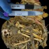 1,000-year-old gut microbiome revealed for young man who lived in ...