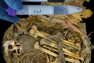 1,000-year-old gut microbiome revealed for young man who lived in ...