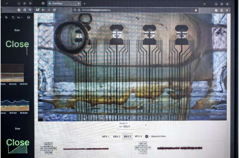 A screen showing the activity of the neurons, which is also displayed on the company's website